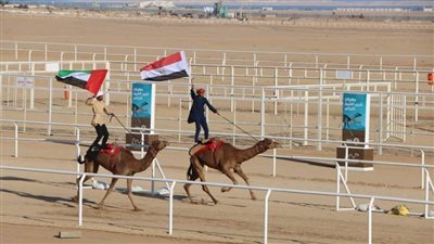 محافظ جنوب سيناء يشهد البروفة النهائية لمهرجان شرم الشيخ التراثي | صور