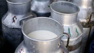 الطب البيطرى بالعريش يحذر من تناول الألبان المجهولة بسبب مرض البروسيلا