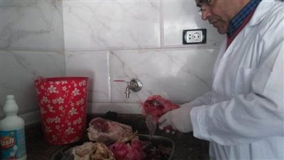 ضبط وإعدام 50 كيلو لحوم فاسدة بالعريش | صور