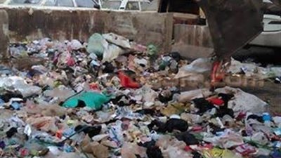 بالصور.. حملة نظافة موسعة بالخصوص وقليوب