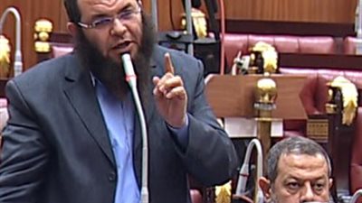 قيادي بالنور: الحزب حافظ على مواد الهوية بالدستور