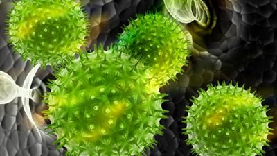 حقائق لا تعرفها عن حمى «القرم»