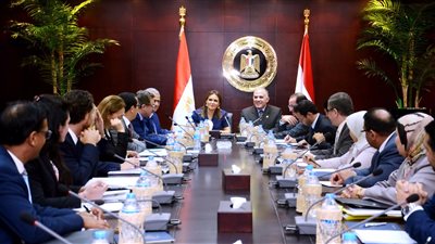 الاستثمار والري تبحثان مع «التنمية الأفريقي» إجراءات الشريحة الثالثة