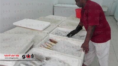 تكثيف الحملات التموينية على بائعى الفسيخ بقنا