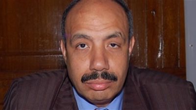 الاتحاد الأوربى: صلاح جودة لا يمثلنا