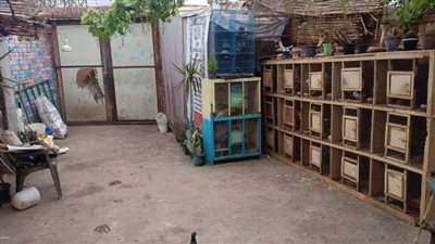 نهاية رحلة 15 عاما داخل مزرعة الزواحف بالدقهلية.. الفيشاوي يترك الهندسة ليعيش بين الحيوانات.. والمسطحات تصادرها | صور