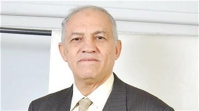 خبير مكافحة الإرهاب: مصر ستجبر على محاربة داعش