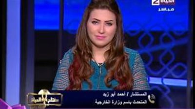 بالفيديو.. «الخارجية»: لم نرصد مشاكل خلال تصويت المصريين بالخارج