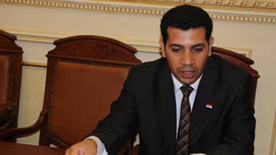 «إخوان بلا عنف»: «الإرهابية» تطالب أنصارها بالتصويت لمرشحي «النور»