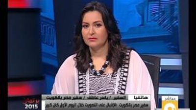 بالفيديو.. سفير مصر بالكويت: آلاف المصريين شاركوا في الانتخابات