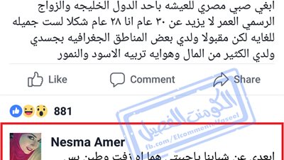 ساخرون.. لما الخليجية تطلب الزواج من مصري