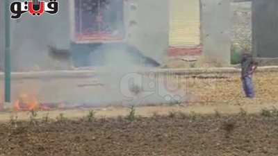 بالفيديو.. حرق قش الأرز يتحدي المسئولين بالغربية