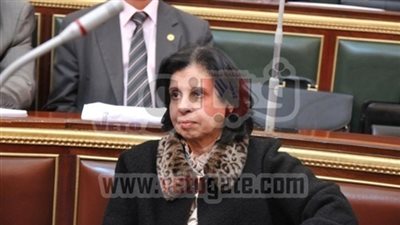 زخارى: المرتبات لن تتأثر بخفض ميزانية البحث العلمى
