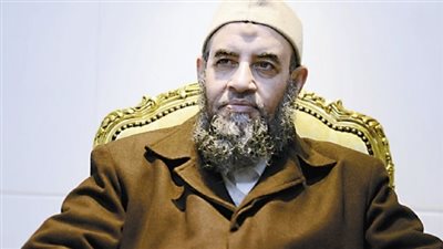 مخيون: مصر تتعرض لمؤامرة.. والجيش قادر على حماية 