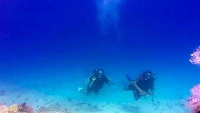 بالصور.. سائح يرصد «عفريتا» أثناء الغوص في الغردقة