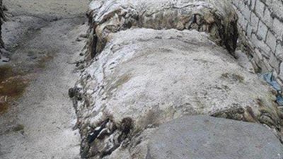 ضبط 5 أطنان من المخلفات الحيوانية بالإسكندرية قبل معالجتها وبيعها