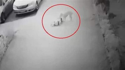 افترسها زي حتة لحمة.. شاهدة عيان تروي تفاصيل صادمة في واقعة هجوم كلب على طفلة الشروق