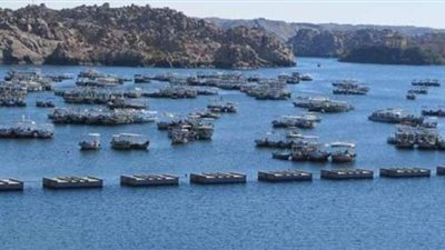 الري: متابعة لحظية لمعدلات سقوط الأمطار والحالة الهيدرولوجية وكميات المياه الواصلة لبحيرة السد العالي