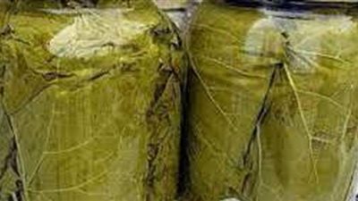 طريقة تخزين ورق العنب وعمله محشى بالأرز