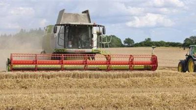 غراب: باق 559 ألف فدان فى الشرقية بدون حصاد الآن