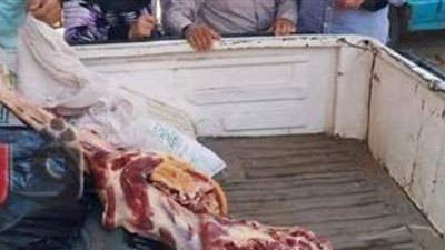 ضبط لحوم مذبوحة خارج السلخانة وأخرى فاسدة بالمنوفية
