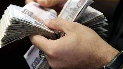 شقيقان يستوليان على ٢٠٠ مليون جنيه من مواطني الغربية بغرض توظيفها في مصنع حديد