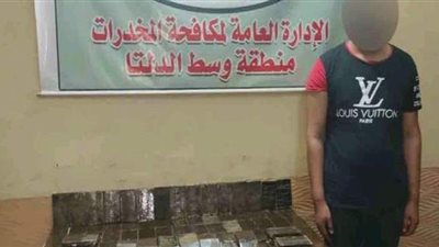 تقدر بمليوني جنيه.. ضبط 250 طربة حشيش بحوزة عنصر إجرامي بالغربية