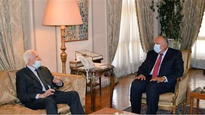 مصر تؤكد استمرار مساعيها لوقف إطلاق النار في غزة