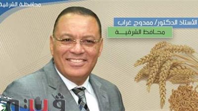 محافظ الشرقية: توريد 10 آلاف طن قمح للصوامع