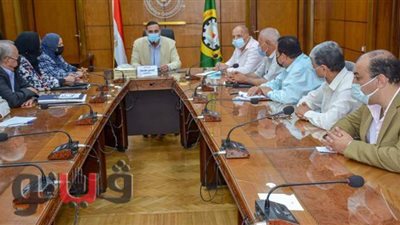 حملات نظافة ورفع الإشغالات في الدقهلية