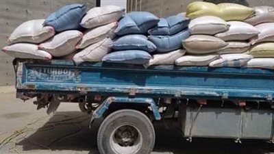 تموين المنيا تستقبل 201 ألف طن من الأقماح وتحرر 75 مخالفة