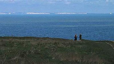 دلفين أبيض نادر يصيب العلماء بالدهشة | فيديو