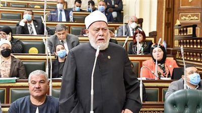 علي جمعة: لسنا دولة دينية.. وأية قرارات تخالف الشريعة ستتصدى لها الدستورية العليا