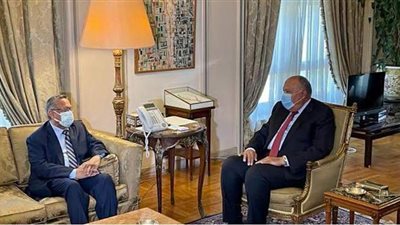 شكري يؤكد موقف مصر الثابت تجاه الأزمة اليمنية: إحدى ركائز الأمن القومي العربي