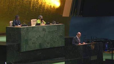 مصر تؤكد في الأمم المتحدة ضرورة حماية الشعب الفلسطيني وحصوله على حقوقه المشروعة