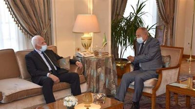 أبو الغيط: وحشية الاحتلال كشفت وجه إسرائيل الحقيقي أمام الرأي العام العالمي