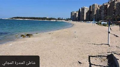 تنظيف وتخطيط شاطئ المندرة في الإسكندرية | صور