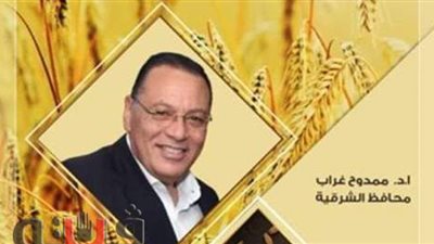 بالأرقام.. تعرف على الحصاد الأسبوعي لتوريد القمح بالشرقية