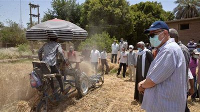 حصاد ٢٣٢ ألف فدان قمح وتوريد ١١٢ ألف طن لصوامع أسيوط