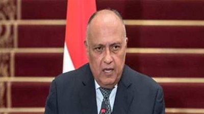 وزير الخارجية: نرفض الملء الثاني لسد النهضة بشكل أحادي