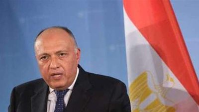 ما هو الخط الأحمر في سد النهضة؟ وزير الخارجية يرد بقوة