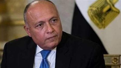 وزير الخارجية: عدم التوصل لاتفاق قبل الملء الثاني لسد النهضة ينبئ بتوتر المنطقة.. أدواتنا جاهزة للحفاظ على حقوقنا المائية