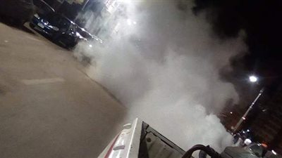 الناموس يهاجم أهالي الغربية.. والمحافظ يكلف بالدفع بسيارات الرش