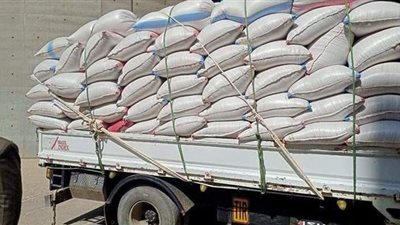 توريد 220 ألف طن قمح لشون وصوامع المنيا