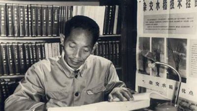 الصين تعلن وفاة مطور سلالات الأرز الهجين