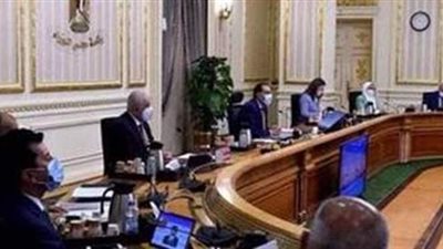 مصر تحارب الزيادة السكانية.. تفاصيل برنامج وعي بالمحافظات| فيديو