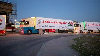 أضخم قافلة مساعدات لـ «غزة» تنفيذا لتوجيهات السيسي | فيديو