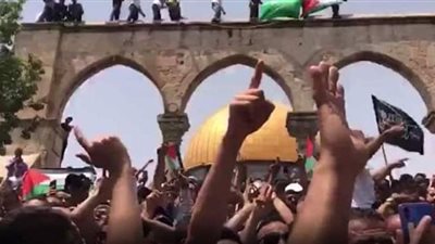 الخارجية: هناك ضرورة حتمية في إقامة دولة فلسطينية مستقلة