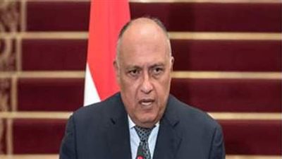 سامح شكري: نقترب من عودة العلاقات الطبيعية مع قطر