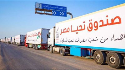 وصول 130 شاحنة مصرية محملة بمواد طبية وغذائية إلى غزة